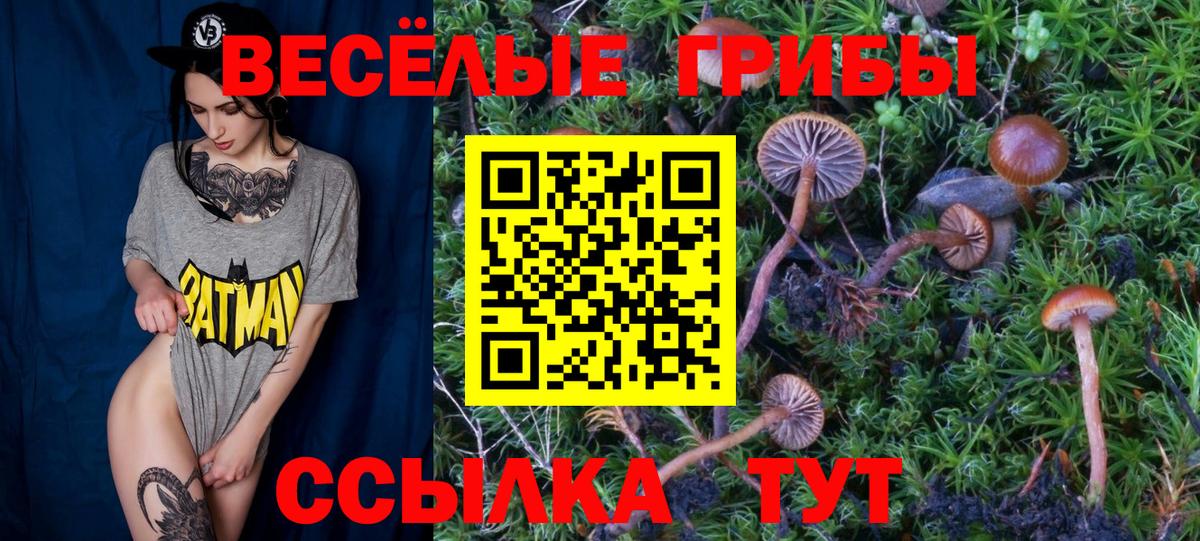 Галлюциногенные грибы Psilocybe Туапсе