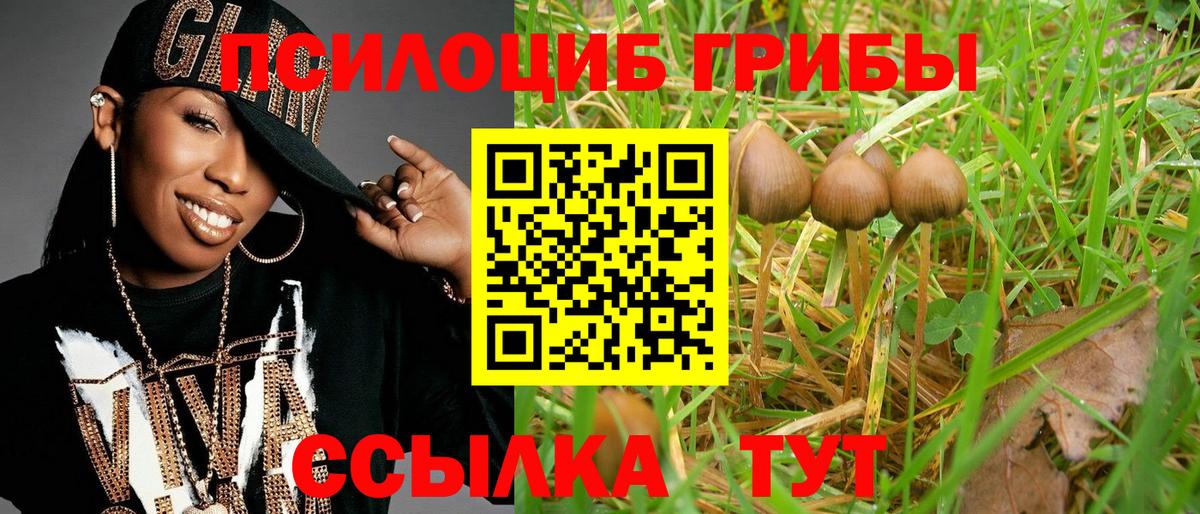 Псилоцибиновые грибы Cubensis  Вход с VPN  Псилоцибиновые грибы Cubensis  Туапсе 